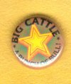 Bigg Button.jpg
