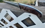 IMG_3411.jpeg