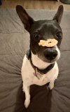 IMG_3451.jpeg