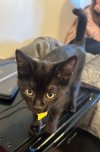 IMG_6963.jpeg