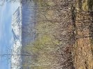 D7D54835-2025-443D-8098-0AABCEFA3AF7.jpeg