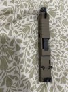 IMG_2037.jpeg