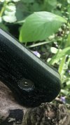 IMG_4290.jpeg