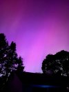 IMG_8482.jpeg