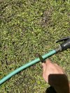 IMG_2337.jpeg