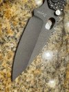 IMG_0767.jpeg