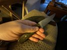 IMG_0383.jpeg