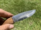 IMG_1795.jpeg