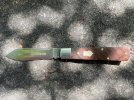 IMG_3203.jpeg