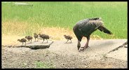 IMG_3414.jpeg