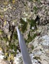 IMG_4879.jpeg