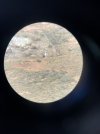 IMG_2714.jpeg