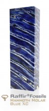 RaffirFossils-mammothmolar-blue-xc-456x1024-1.jpg