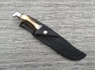 Buck 120 Stag with custom sheath (1).JPG