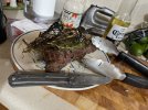 IMG_5250.jpeg