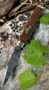 IMG_1440.jpeg