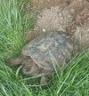 20240514_102623.jpg 20240514_102623.jpg