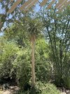IMG_2763.jpeg