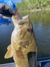 IMG_5277.jpeg