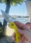 IMG_8349.jpeg
