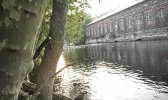 IMG_7757.jpeg