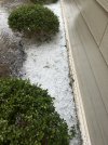 IMG_0942.jpeg