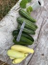 IMG_5284.jpeg