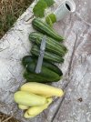 IMG_5283.jpeg