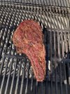 IMG_4990.jpeg
