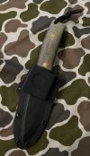 IMG_2849.jpeg