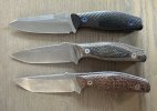 IMG_1645.jpeg