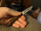 IMG_0591.jpeg