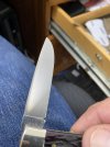 IMG_9551.jpeg