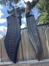 IMG_7159.jpeg