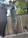IMG_7160.jpeg