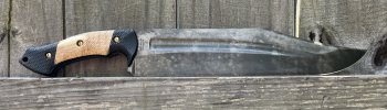 IMG_7162.jpeg