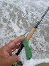 IMG_20240603_100810738.jpg