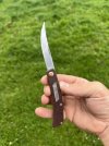 IMG_4294.jpeg
