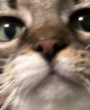 434760A7-E110-4269-99FD-00EE676F95BA.jpeg
