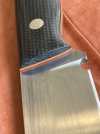 IMG_7190.jpeg