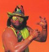macho-man-randy-savage-national-holiday.jpg