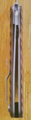 BcT13 (166x640).jpg