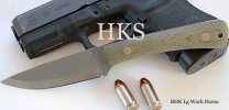 WORKHORSEGREEN_edited-1.jpg