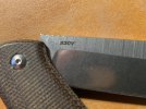 IMG_3361.jpeg
