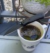 IMG_8869.jpeg