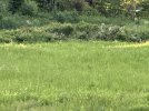 IMG_7958.jpeg
