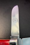 IMG_2024-06-12-101225.jpeg