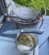 IMG_8919.jpeg