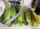 IMG_5455.jpeg