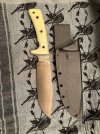 IMG_5093.jpeg
